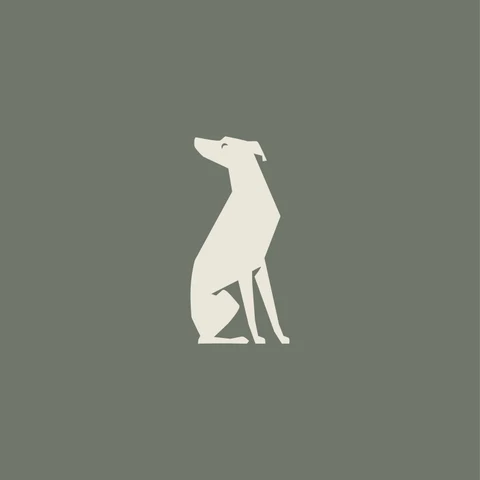 The Italian Greyhound